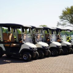 588756613_122349754694078754_7792187841214461395_n